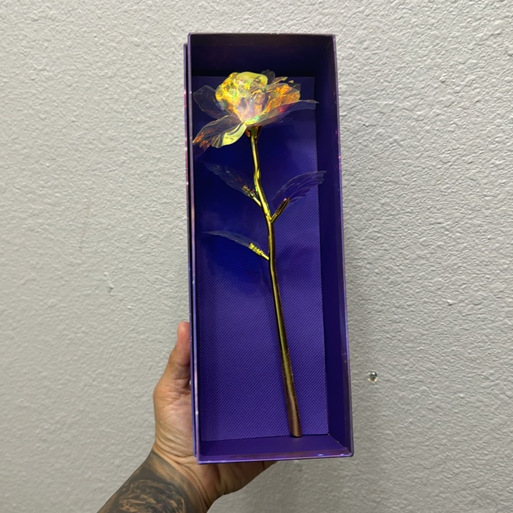 Single Galaxy Rose - Picture 5 of 7